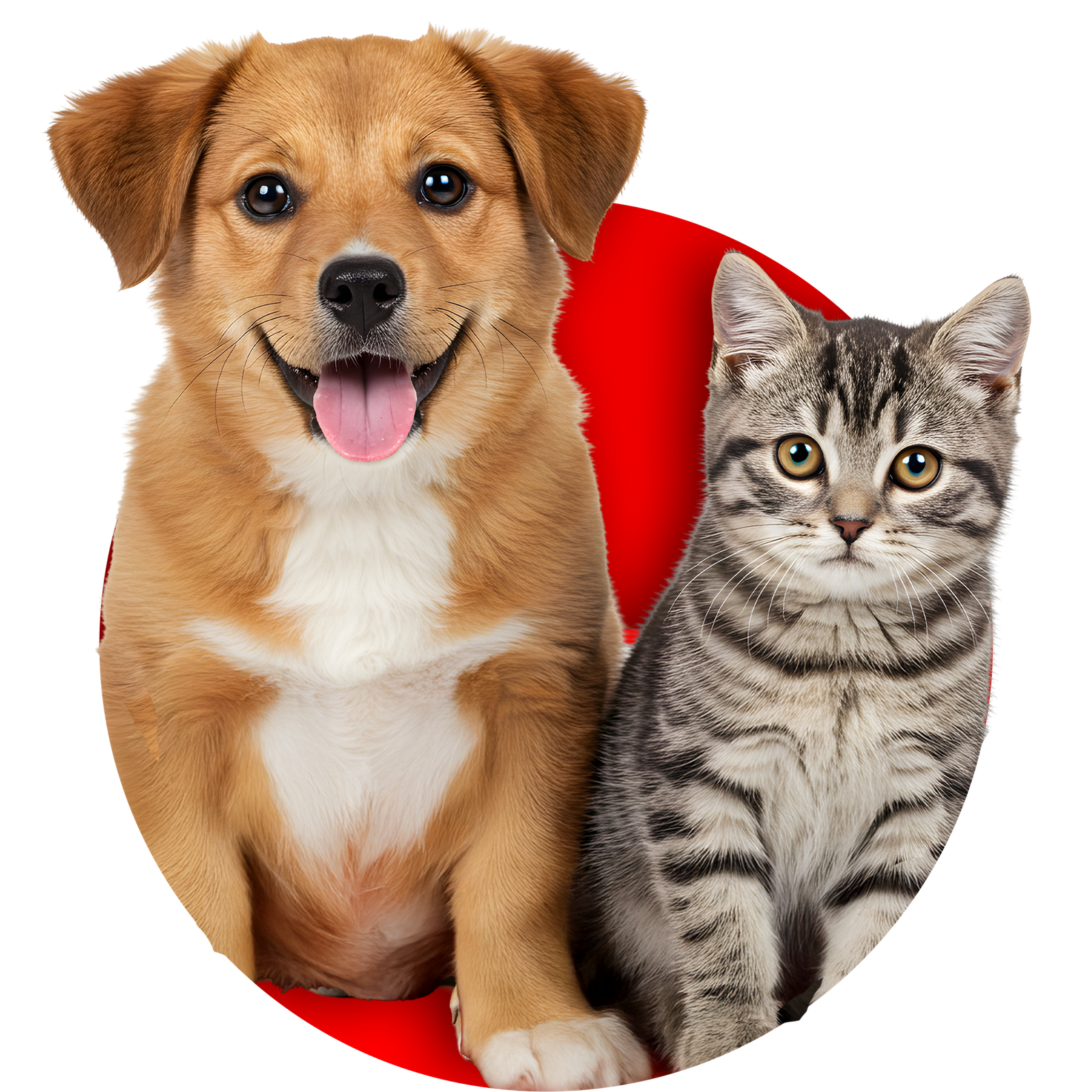 pets